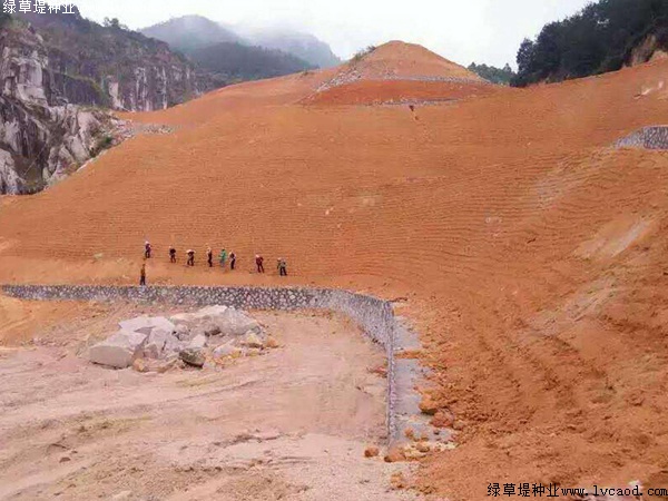 草坪在礦山復(fù)綠工程應(yīng)用