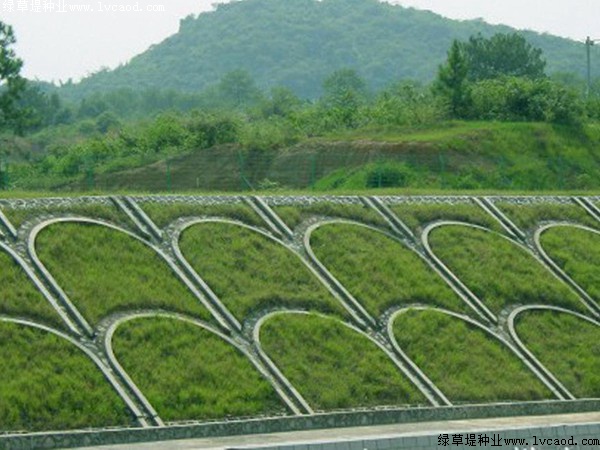 高速公路草坪護坡建設(shè)方法